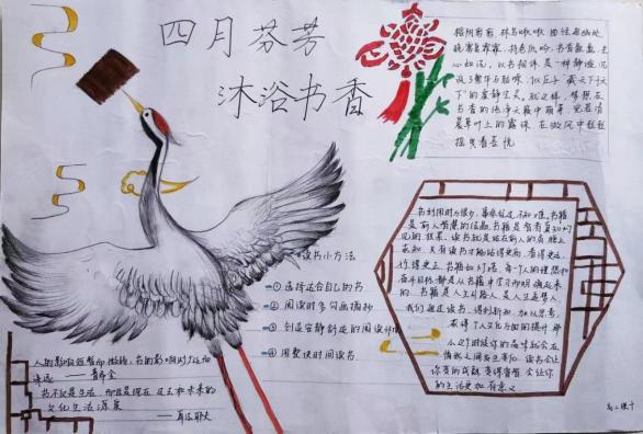 d338af0cc8605a624f606eb8f97df2c