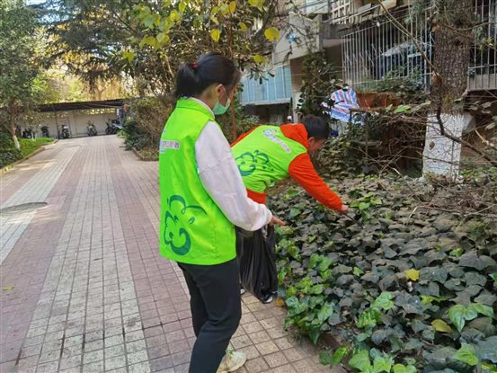 红盛园社区志愿活动15