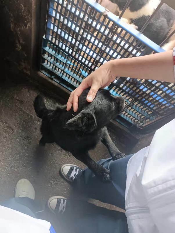 457a041999c91fcde2df4b1879f1aa9